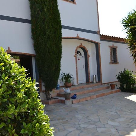 Maison Les Agapanthes Villeneuve-lès-Béziers Dış mekan fotoğraf