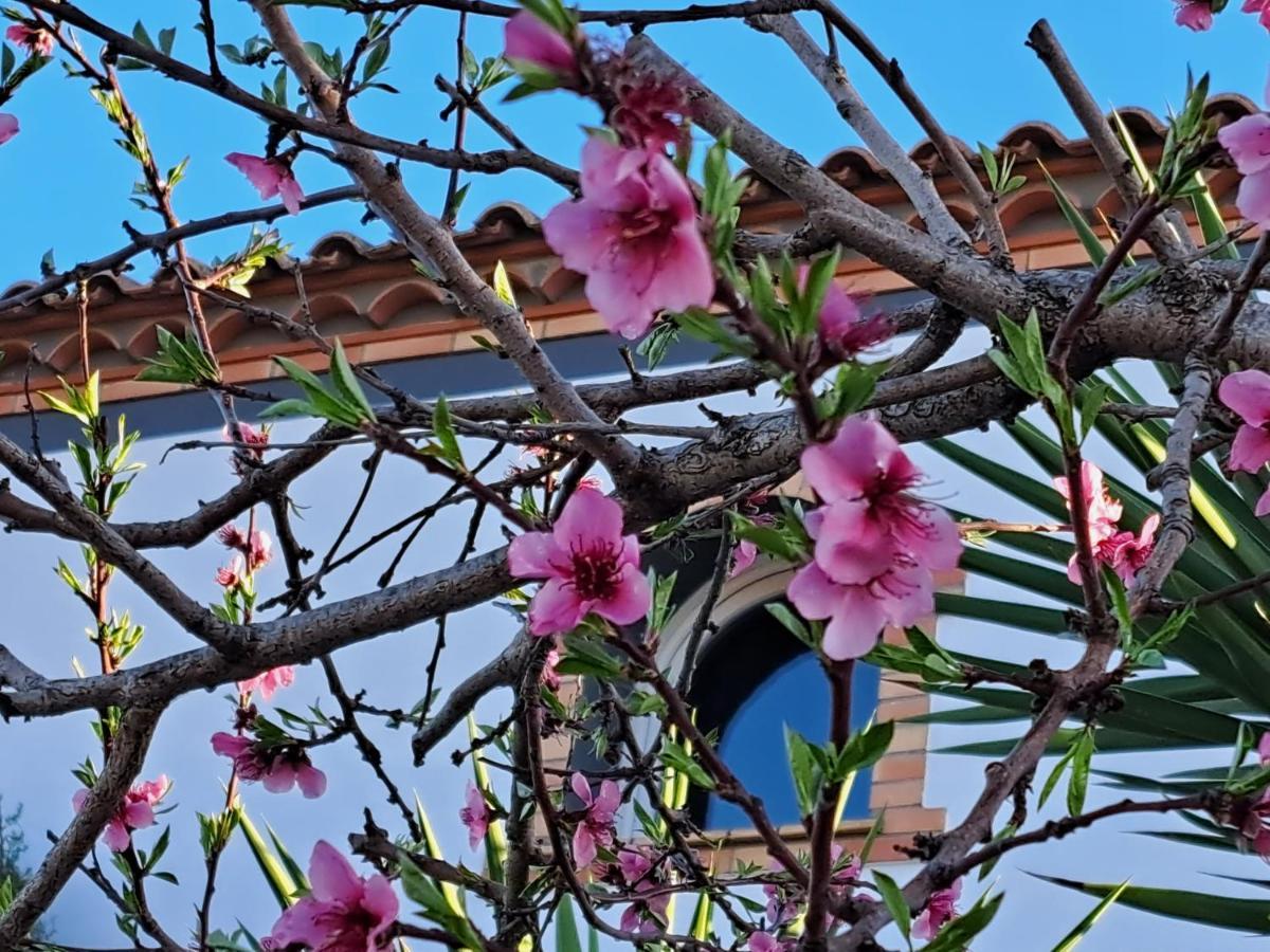 Maison Les Agapanthes Villeneuve-lès-Béziers Dış mekan fotoğraf